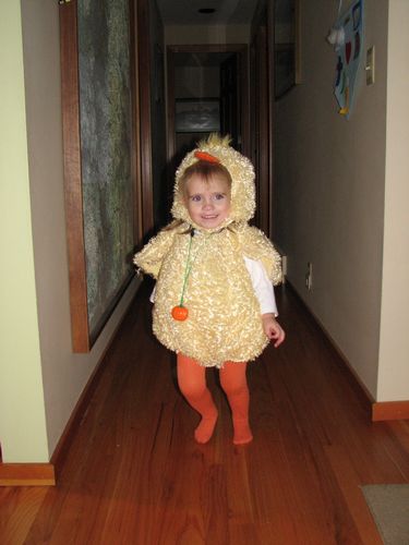 Duck Dash