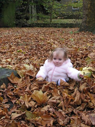 Thetford Leaves