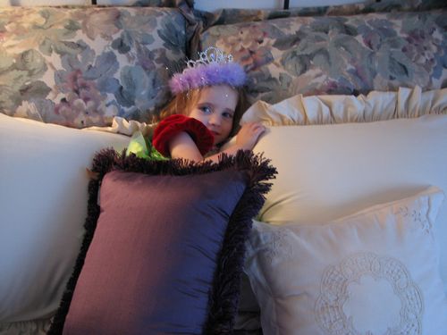 Pillow Snuggler