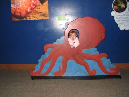 Seattle Aquarium
