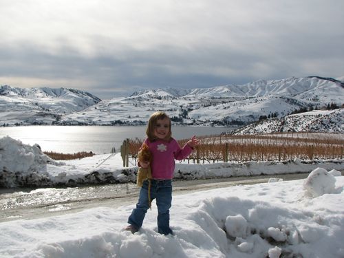 Chelan Snow