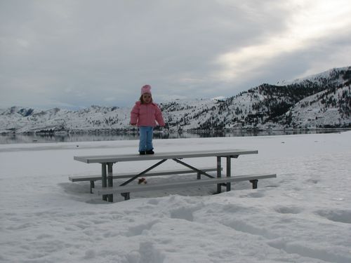 Wapato Point