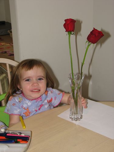 Valentine Roses