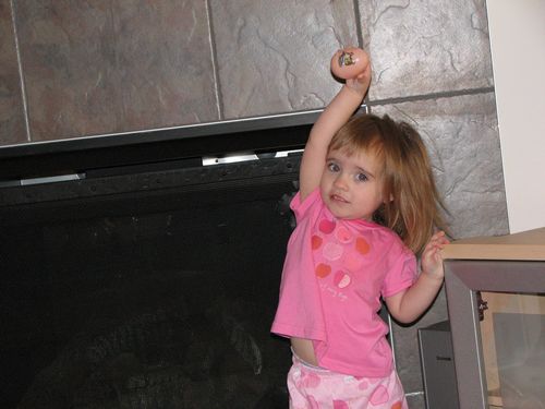 Egg Hunt at Home
