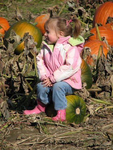 Pumpkin Sitter