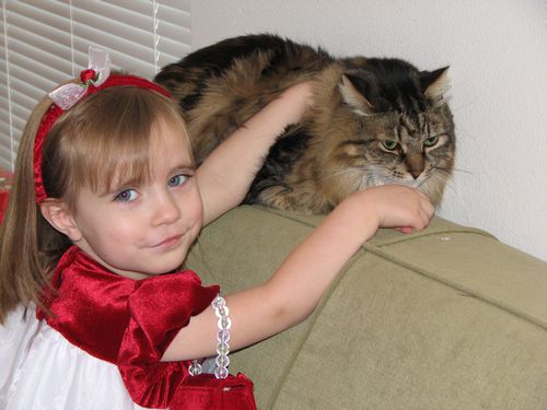 Christmas Kitty