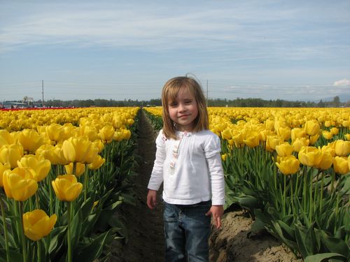 Tulip Girl