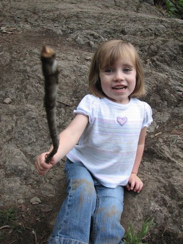 Hiking Stick