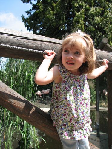 Woodland Park Zoo