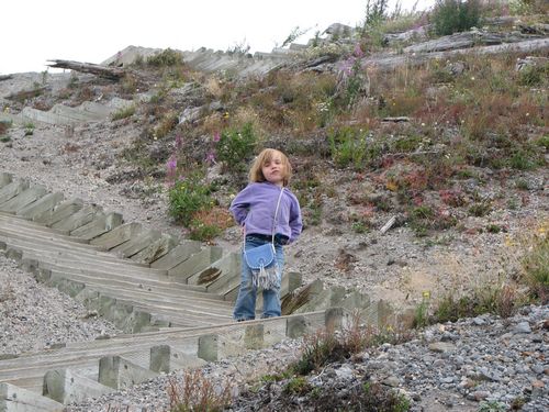 Windy Ridge