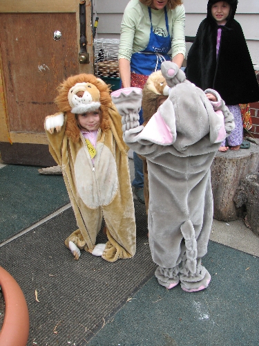 Lion Around