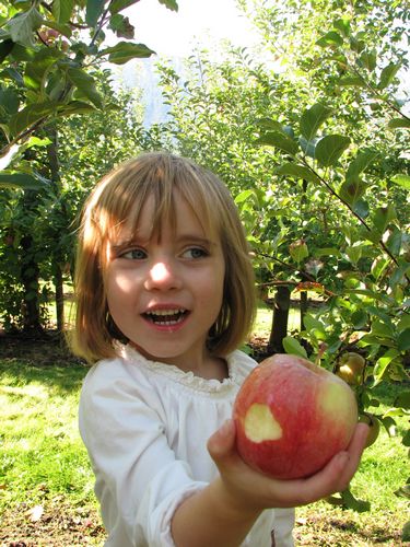 Apple Eater