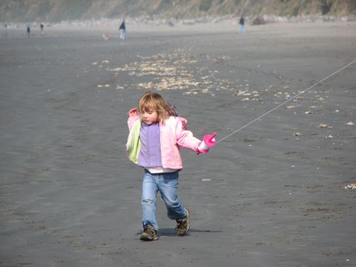 Kite Flyer
