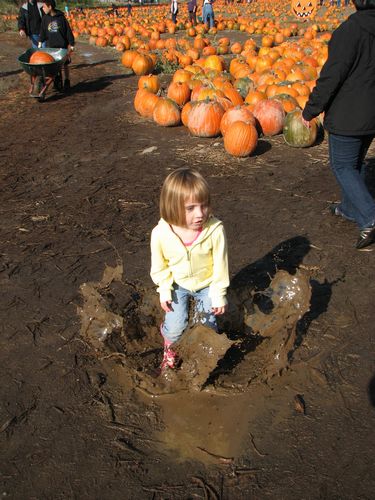 Mud Splasher