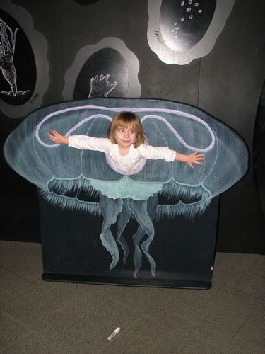 Jellyfish