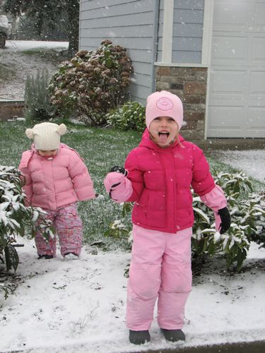 First Snow of the Year
