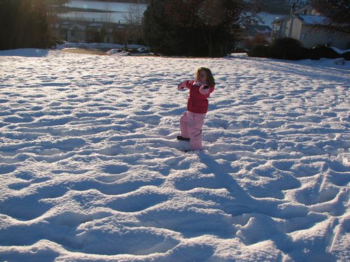 Snow at Wapato Point