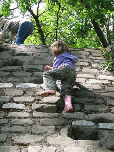 Climbing at Camp Long