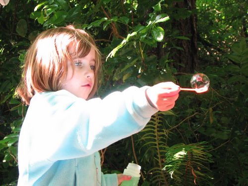 Bubbles at Belfair State Park