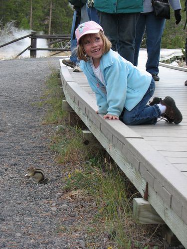 Chipmunk Friend