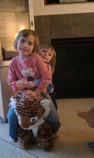 Tiger Ride