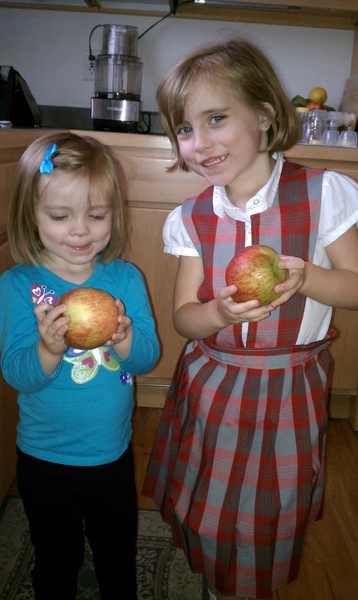 Apples From Our Tree