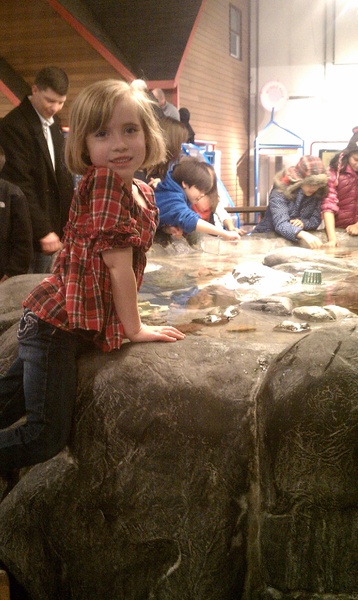 Tide Pool Explorer