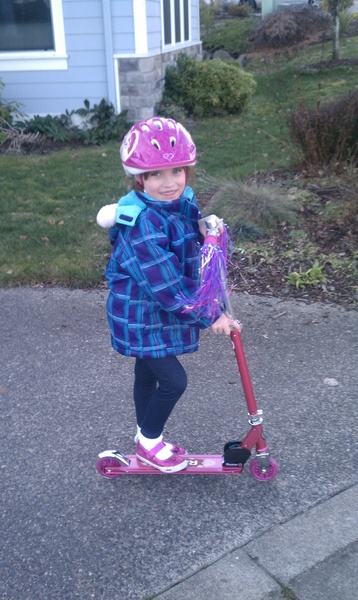 Winter Scooter