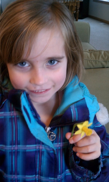 Tiny Daffodil