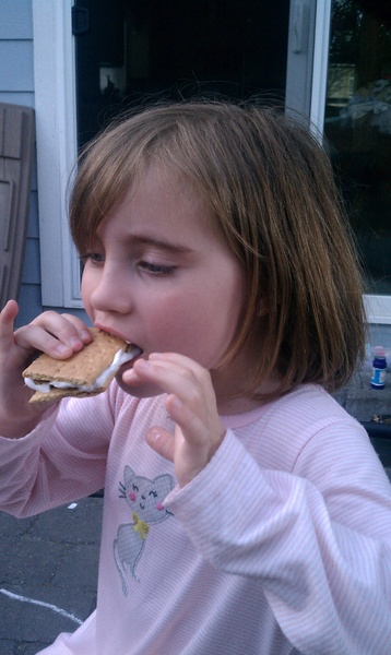 Backyard Smoors