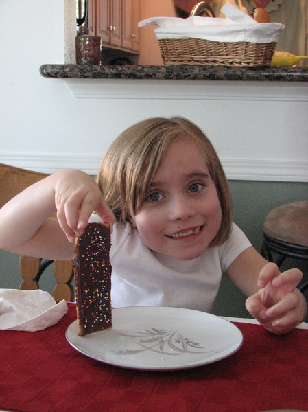 Chocolate Graham Cracker