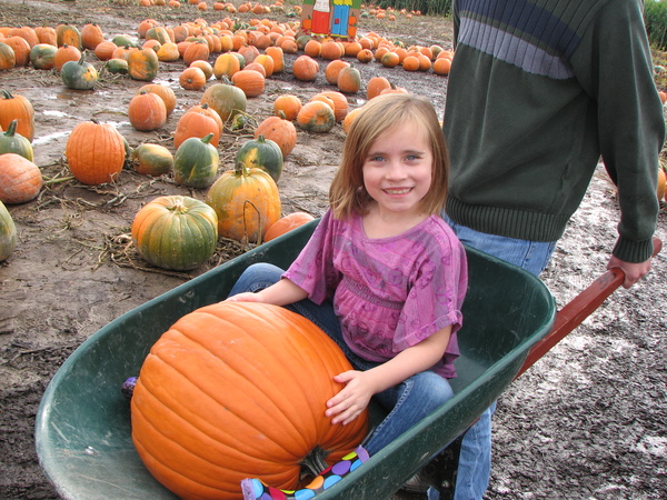 Rachel's Pumpkin