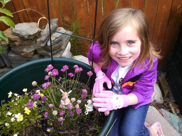 Fairy Garden