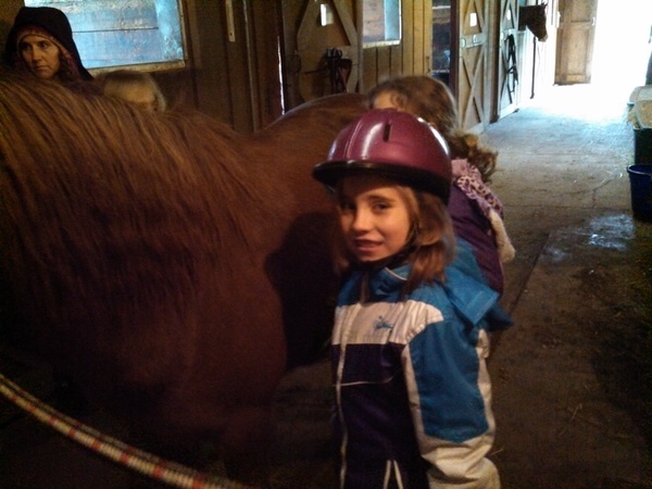 Brushing Brownie