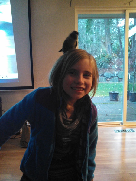 Friendly Bird