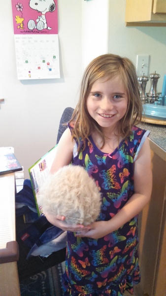 Tribble