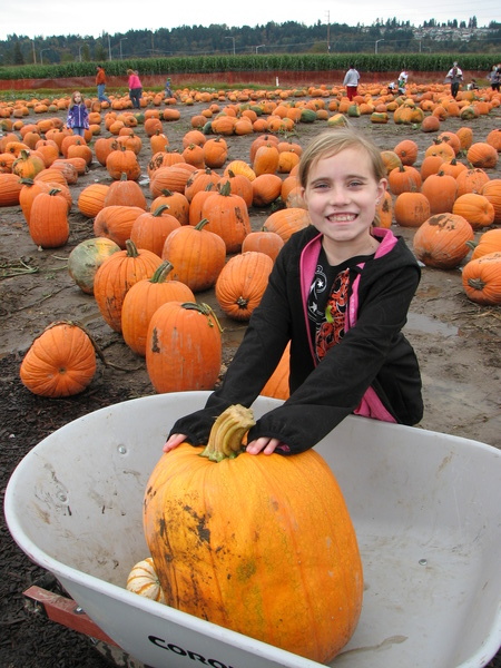 Pumpkin Patch