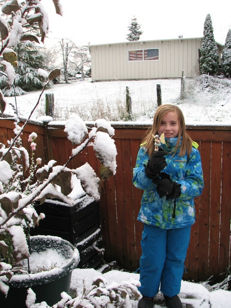 Snow Day