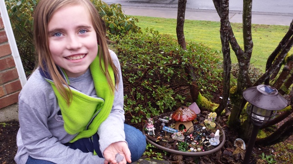 Fairy Garden