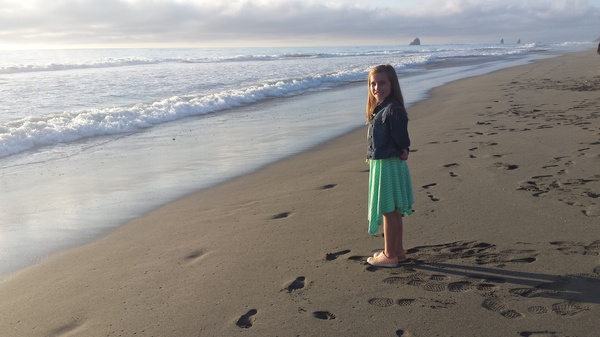 Redwood Creek Beach