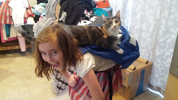 Cat on the Back