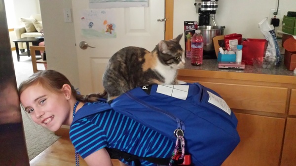 Cat on the Back
