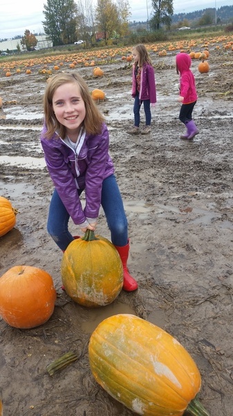 Pumpkin Patch