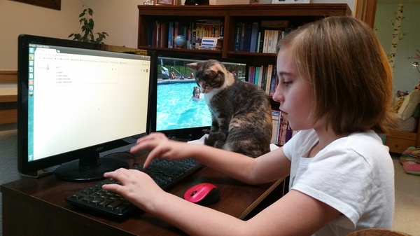 Writing Report with Molly