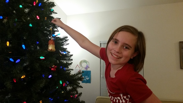 Hanging Ornaments