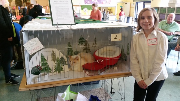 Cat Show with Henry