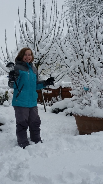 Snow Day