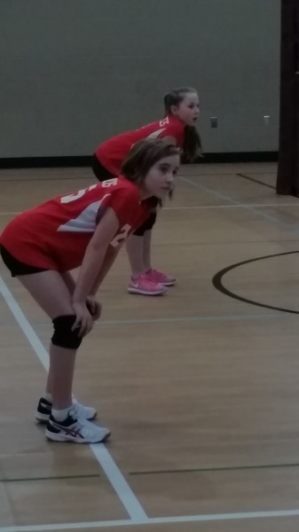 VolleyBall