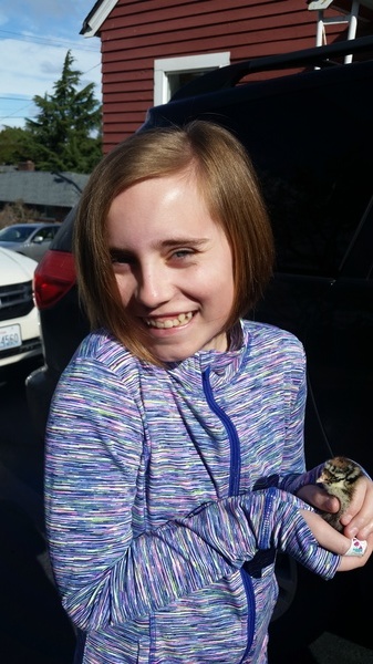 Baby Chick