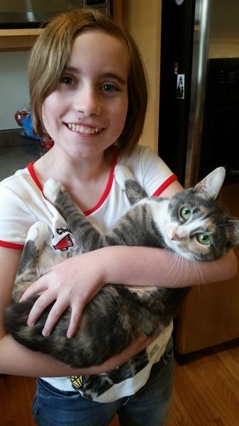 Molly Cat